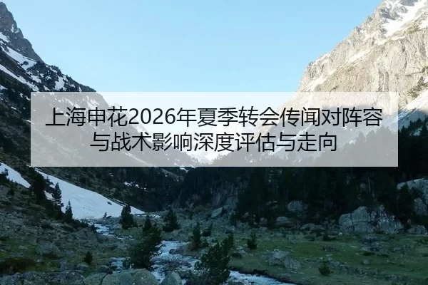 上海申花2026年夏季转会传闻对阵容与战术影响深度评估与走向